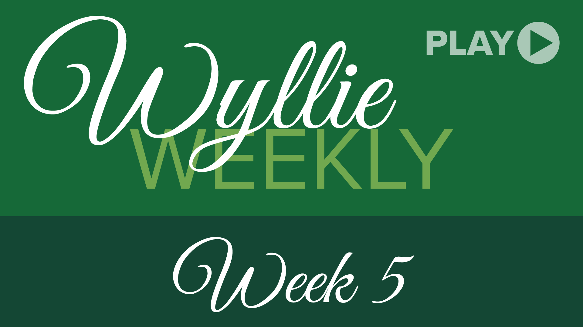 Wyllie Weekly 5