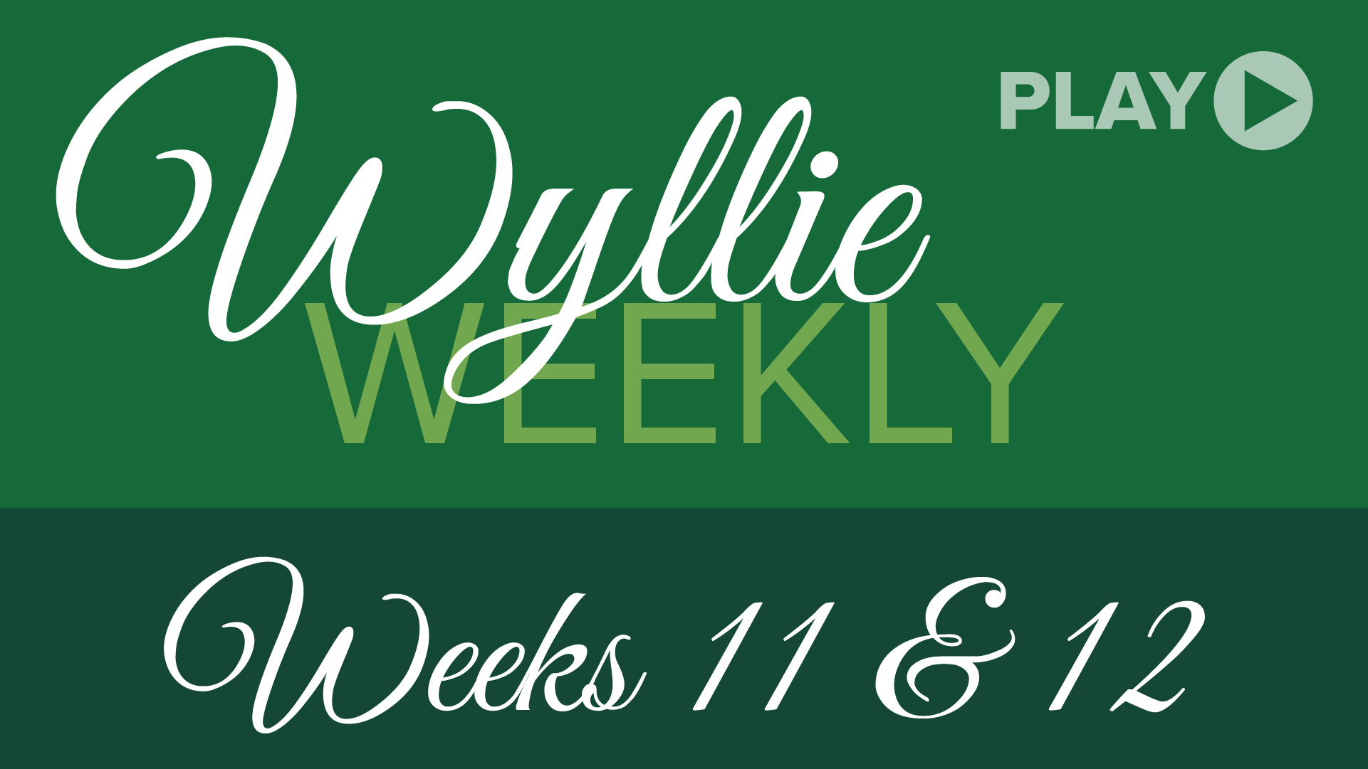 Wyllie Weekly 11-12