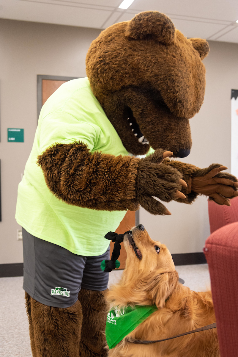 Ranger Bear meets Grace the Therapuppy on Parkside Day