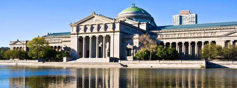 Museum Studies are subjects in college capitalized Museum Studies are subjects in college capitalized
