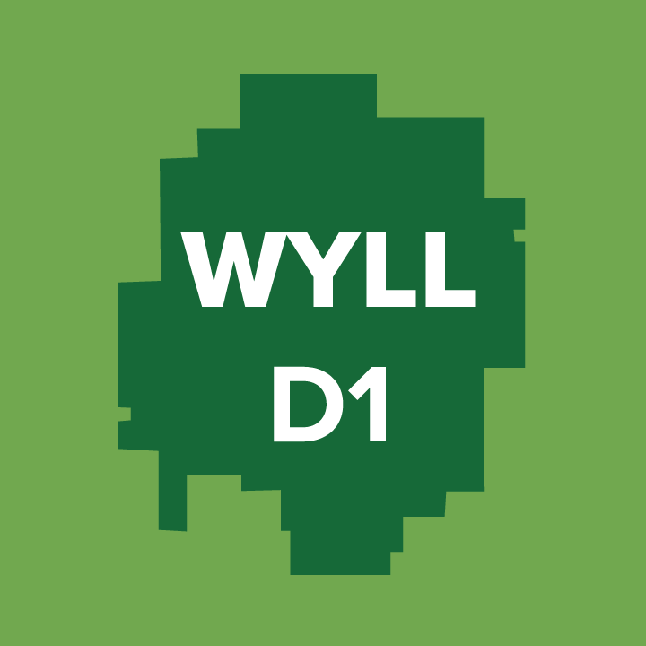WYLL D1