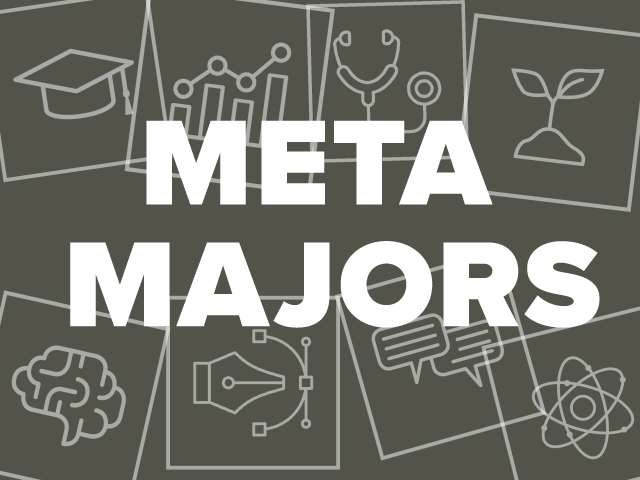 meta majors