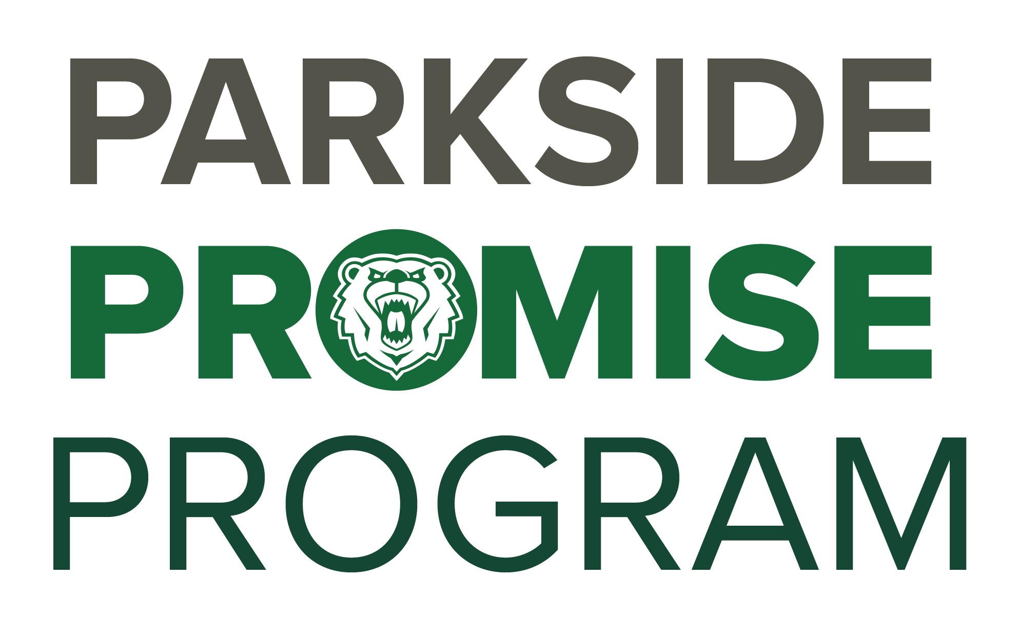 Promise programs button