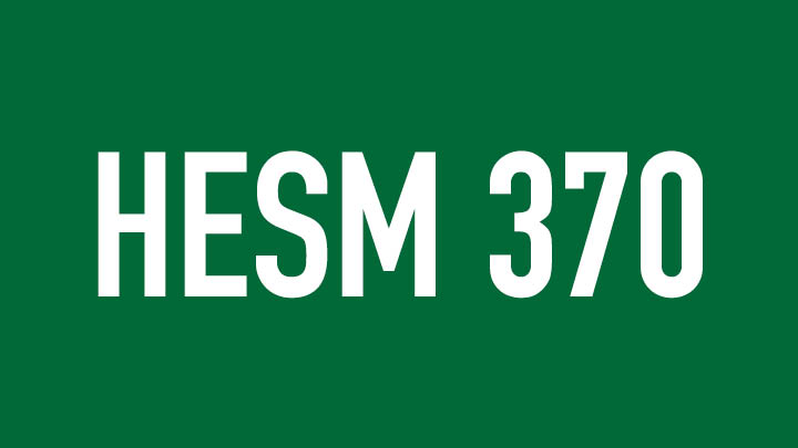 hesm 370