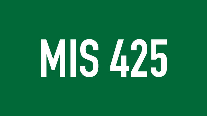 mis 425