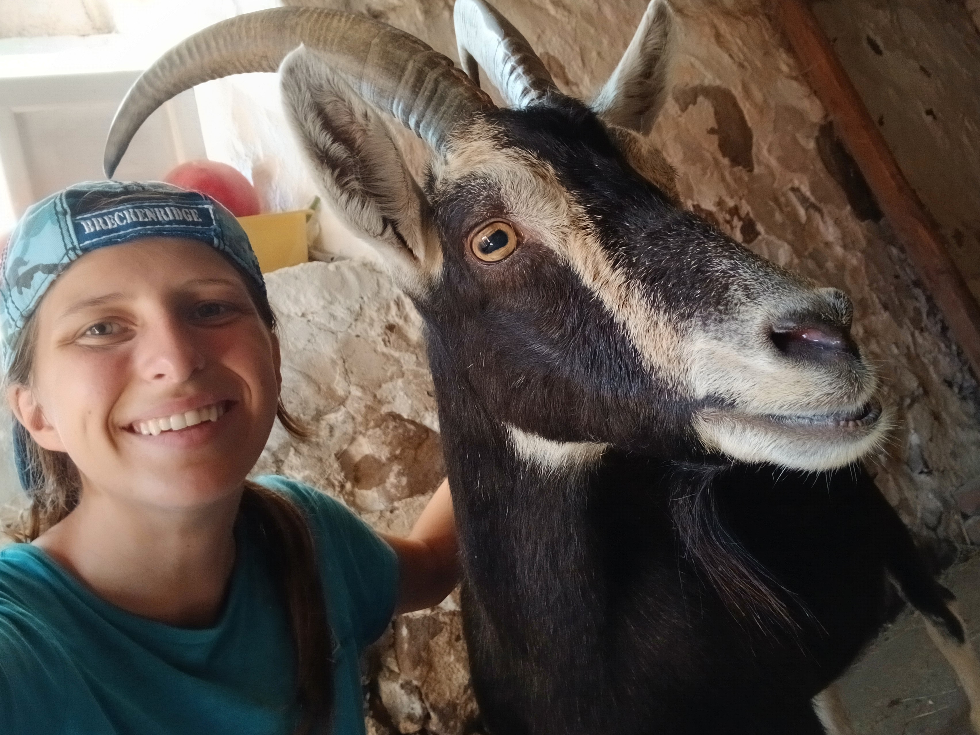 A UW-Parkside student poses with a goat while working as a Land Stewardship Intern