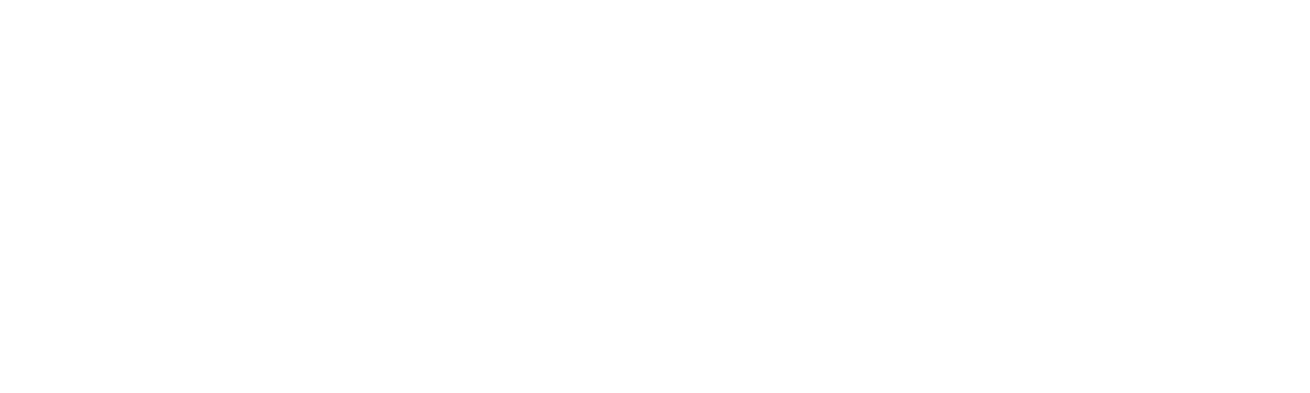 Midnight Ranger