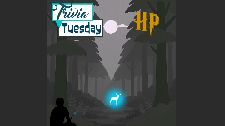 trivia tuesday: Harry Potter