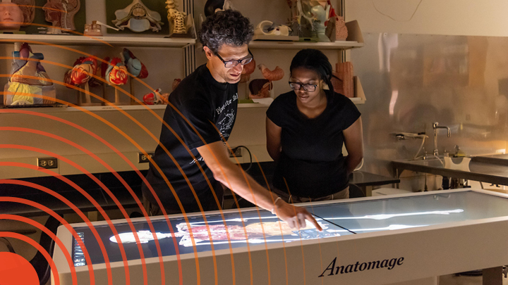 Image of a male professor and a woman student looking at a anatomical figure in a digital lifesize view