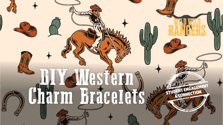 Western Charm Bracelets\
