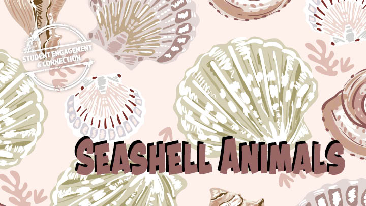 seashell animals