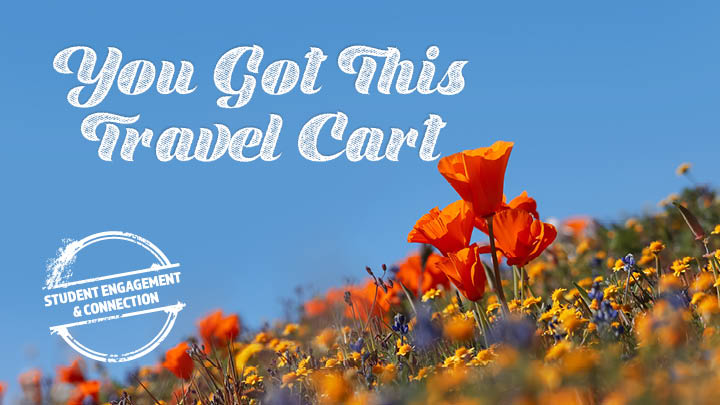 travel cart