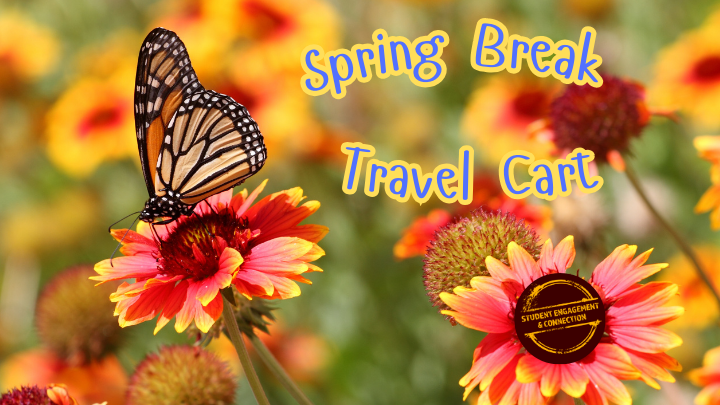 Spring Break travel cart