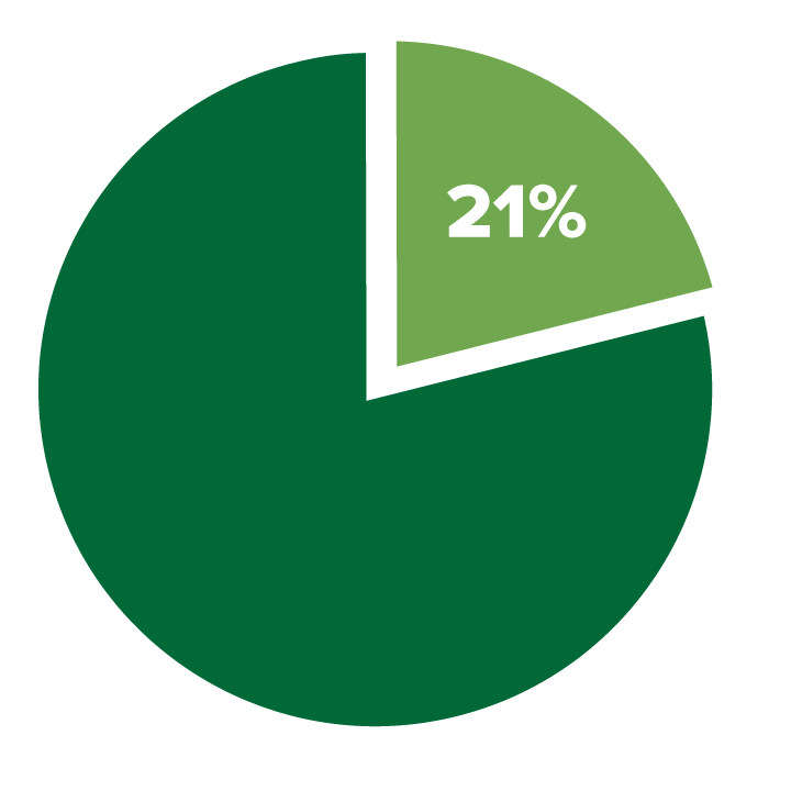 21.percent 21.percent