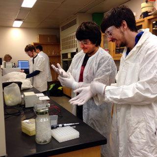 DNA Day. High School students working on science experiment