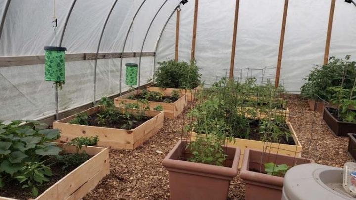 UW-Parkside Community Garden