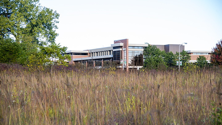 Fall on campus