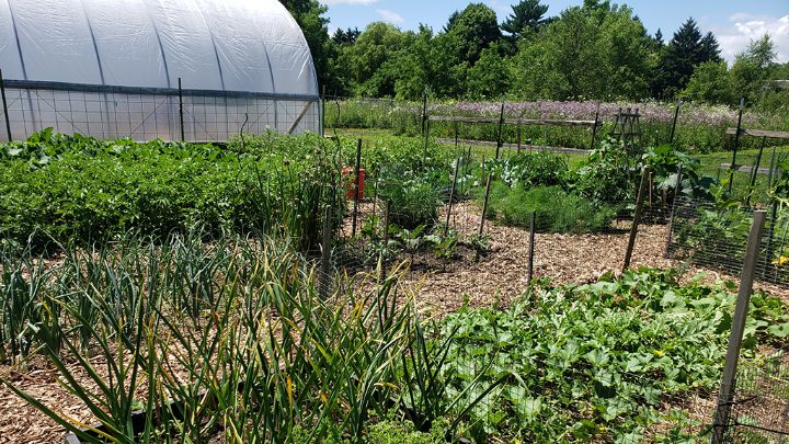 UW-Parkside Community Garden