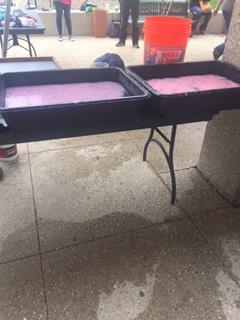 Pieces of undergarment soaking before being made into paper