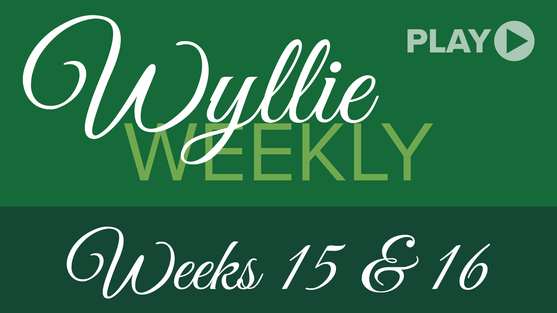Wyllie Weekly 15-16