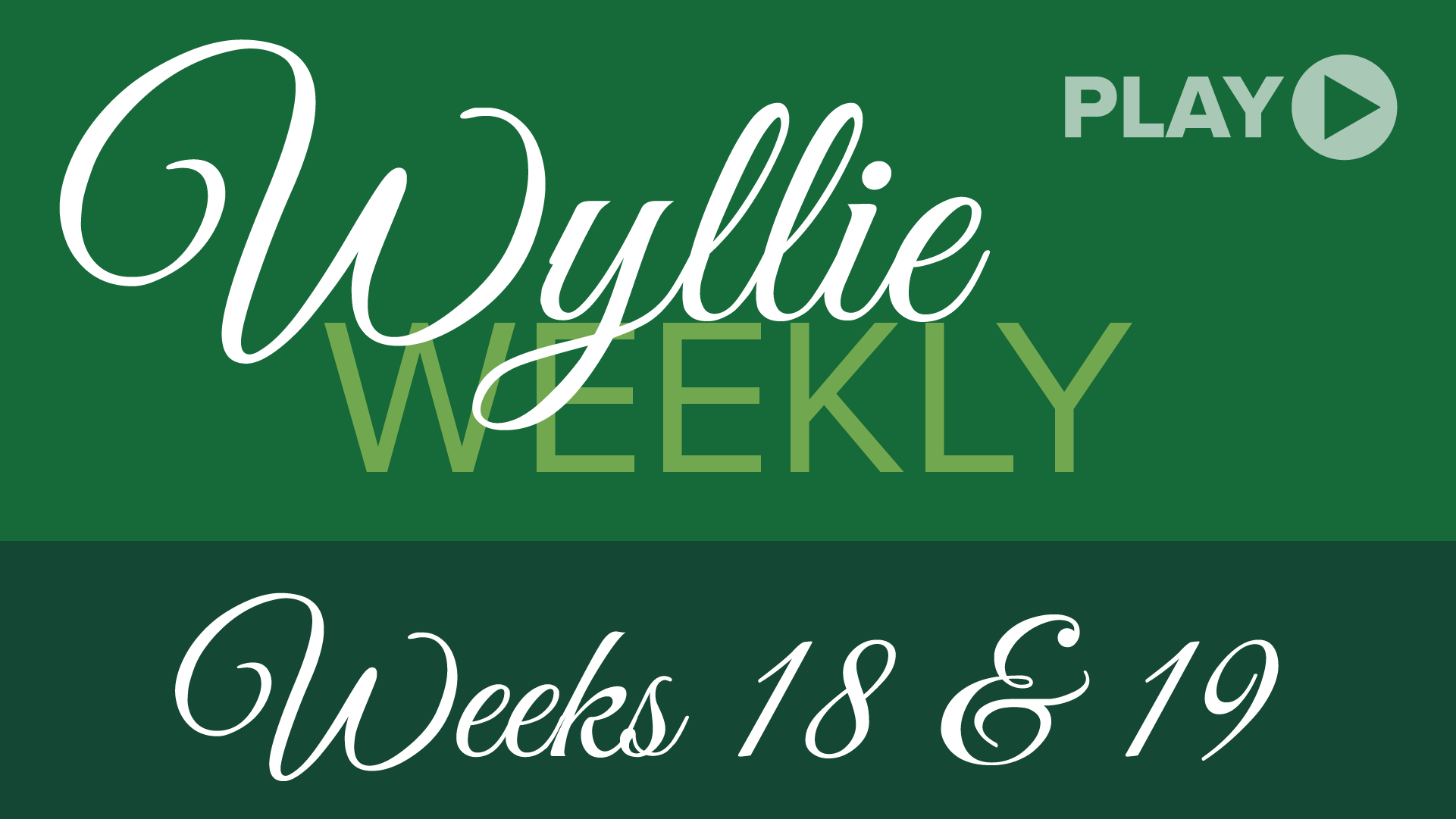 Wyllie Weekly 18-19