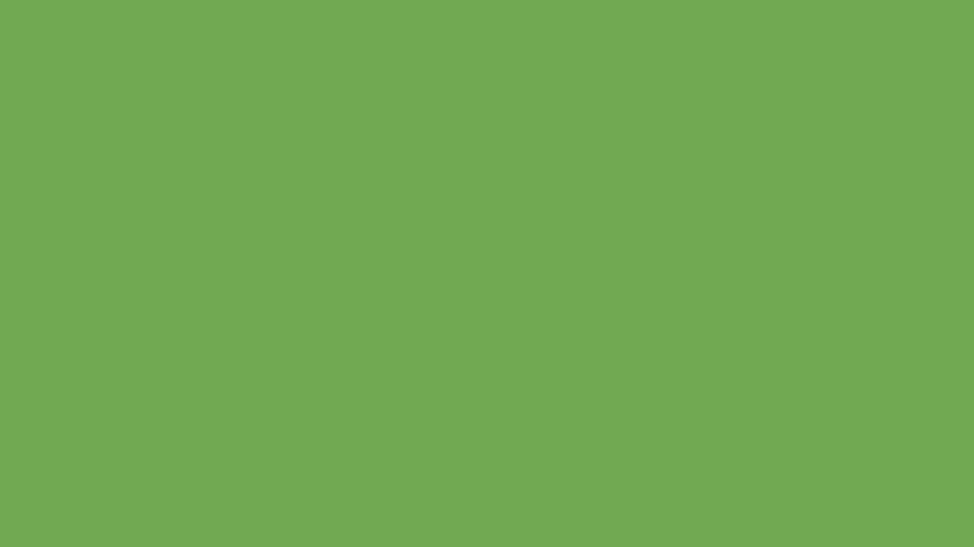 Virtual Background - Parkside Light Green