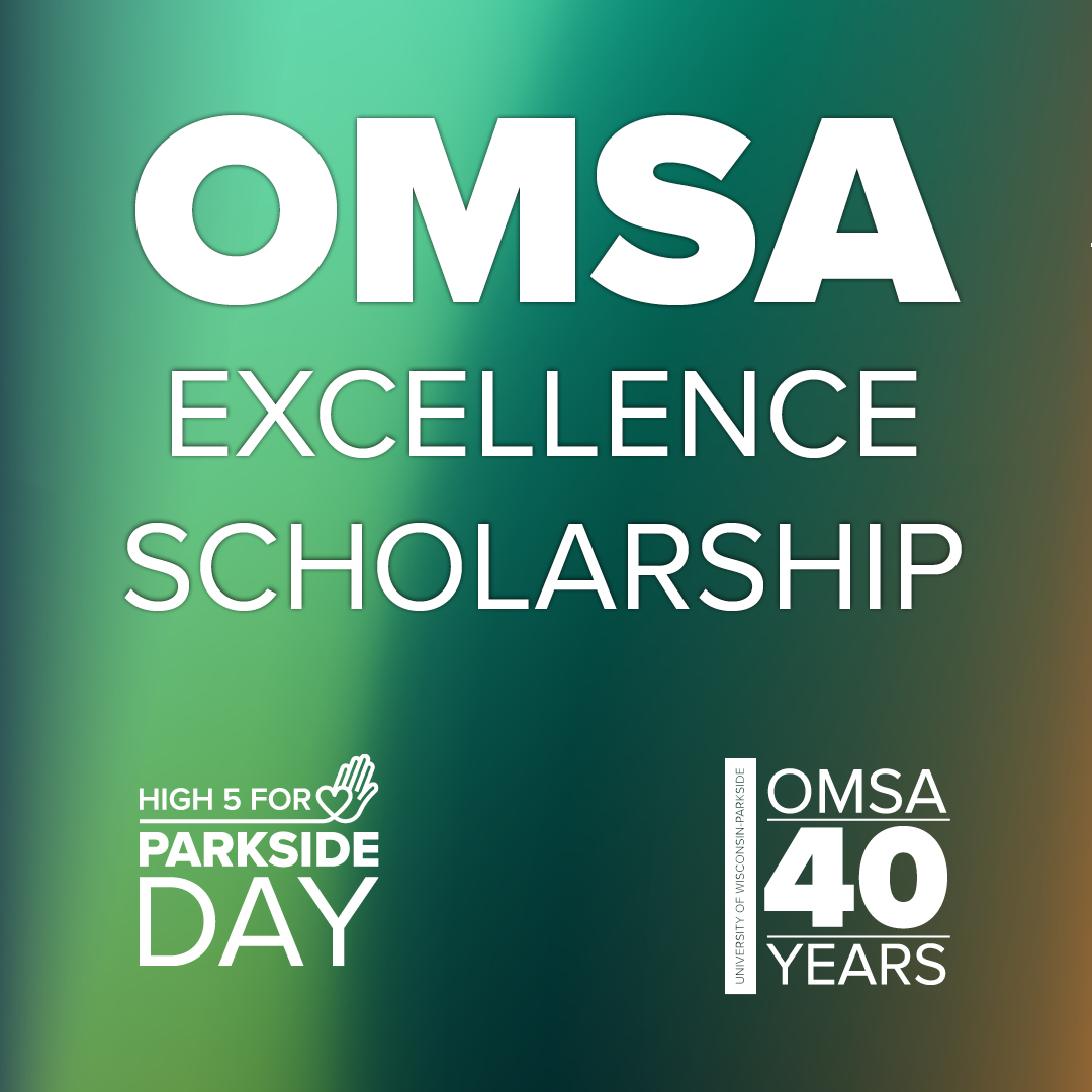 omsa excellence scholarship graphic with airbrush colored background