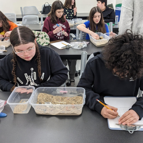 students in the classroom looking at a clear box to dig