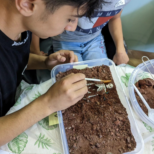 A boy using a tool to clear a dig site on a table as an example of how to practice removing dirt from a dig site. 