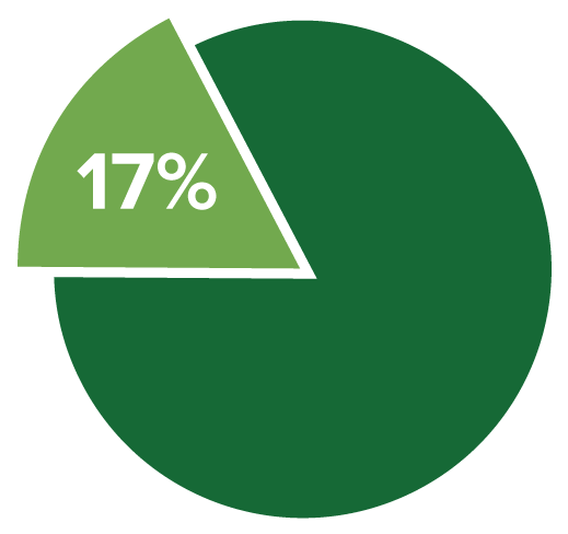 17-percent-chart 17%
