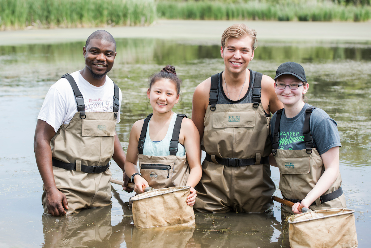 students researching damsel flies in wetlands