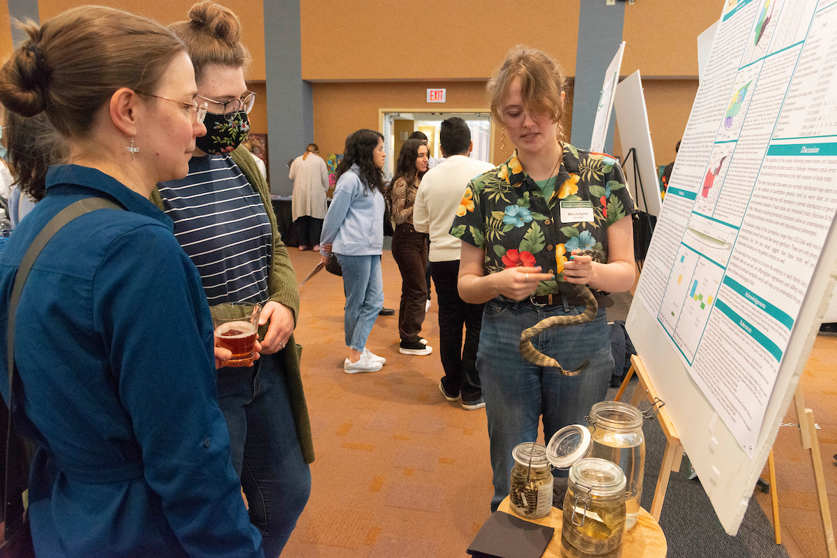 Research poster session at Student Showcase