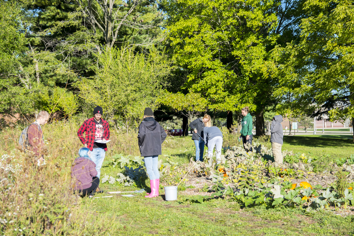 Enviromental Studies class does soil sampling in the community garden.