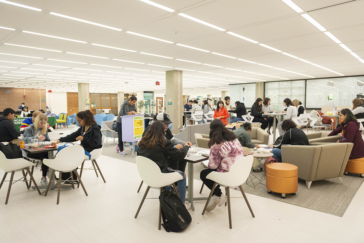 Loteria in the Library