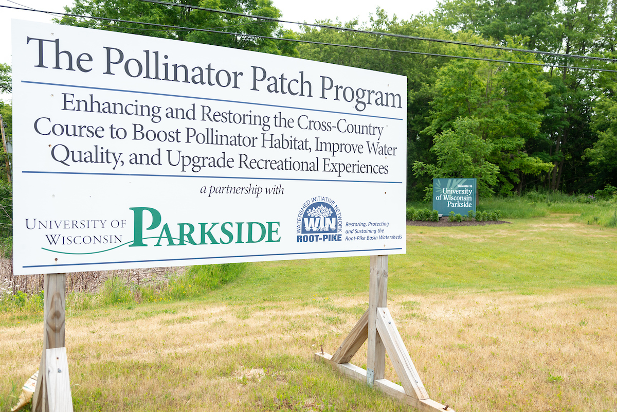 Pollinator Patch