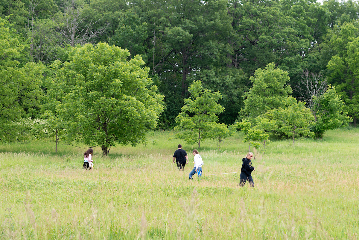 Pollinator Patch