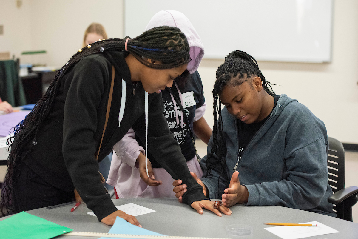 Students conduct research with cockroaches during the 2024 GEMS Conference