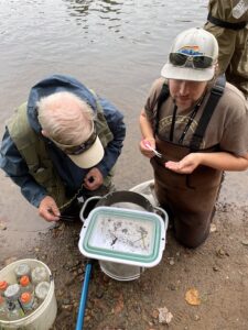 Students collect aquatic insects for biomonitoring database.