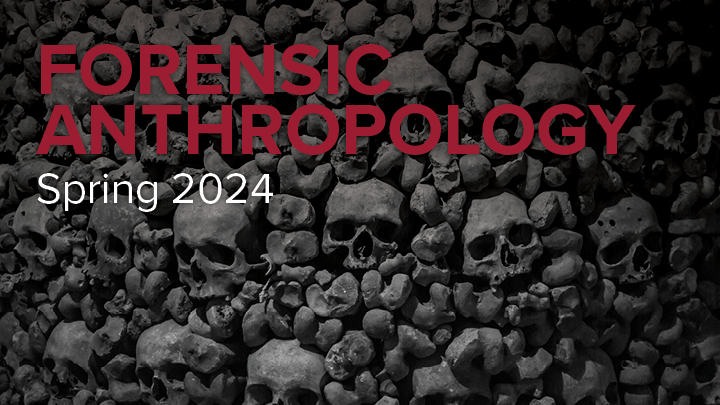 Forensic Anthropology