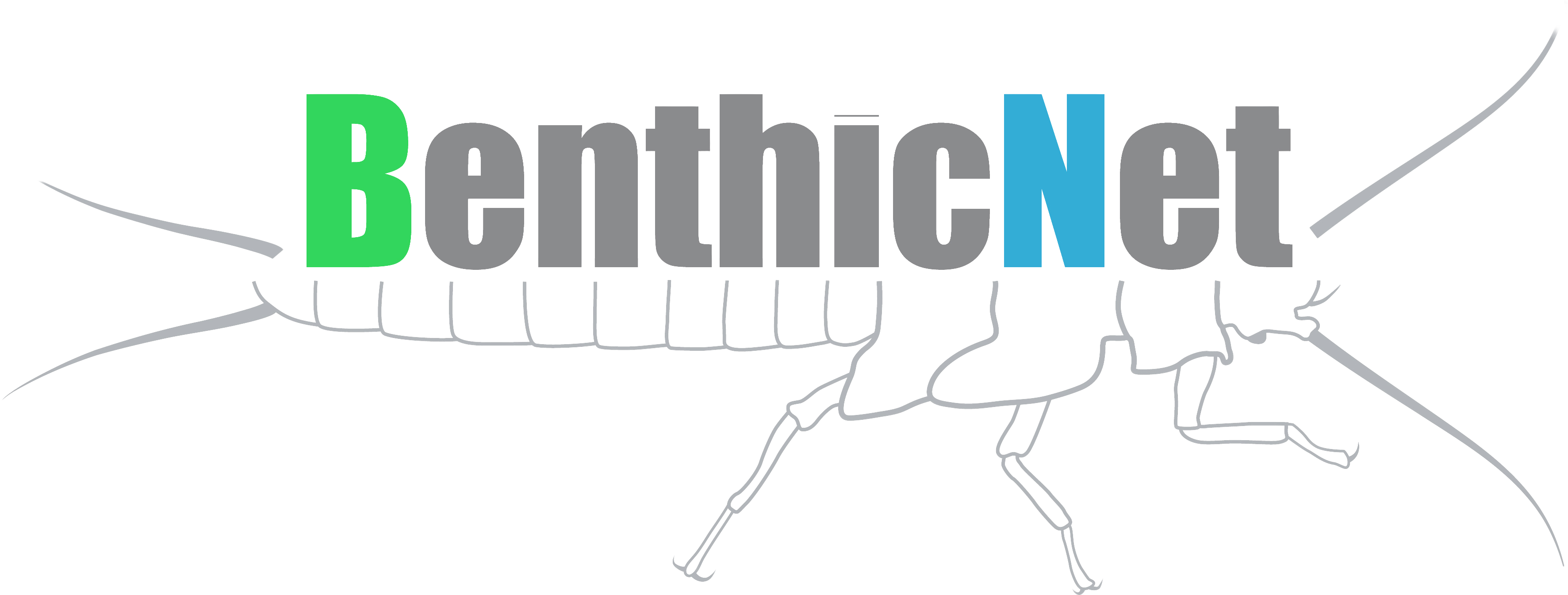 BenthicNet logo with the words and a bug silhoutte in grey