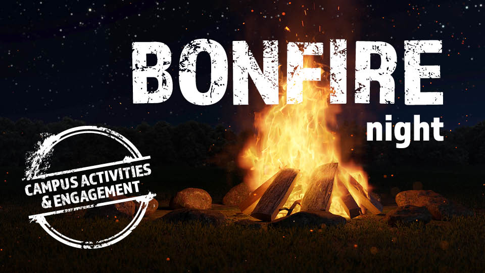 image of a bonfire at night