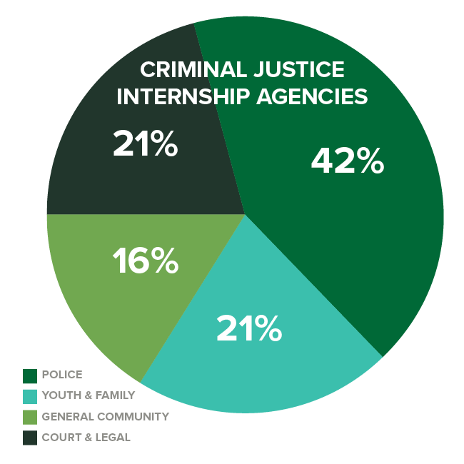 pie chart with Criminal Justice Internship percentages