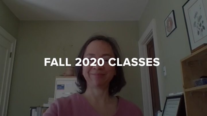 Theresa Castor Fall Classes