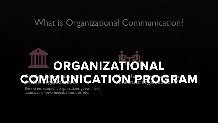 Theresa Castor Organizational Communication