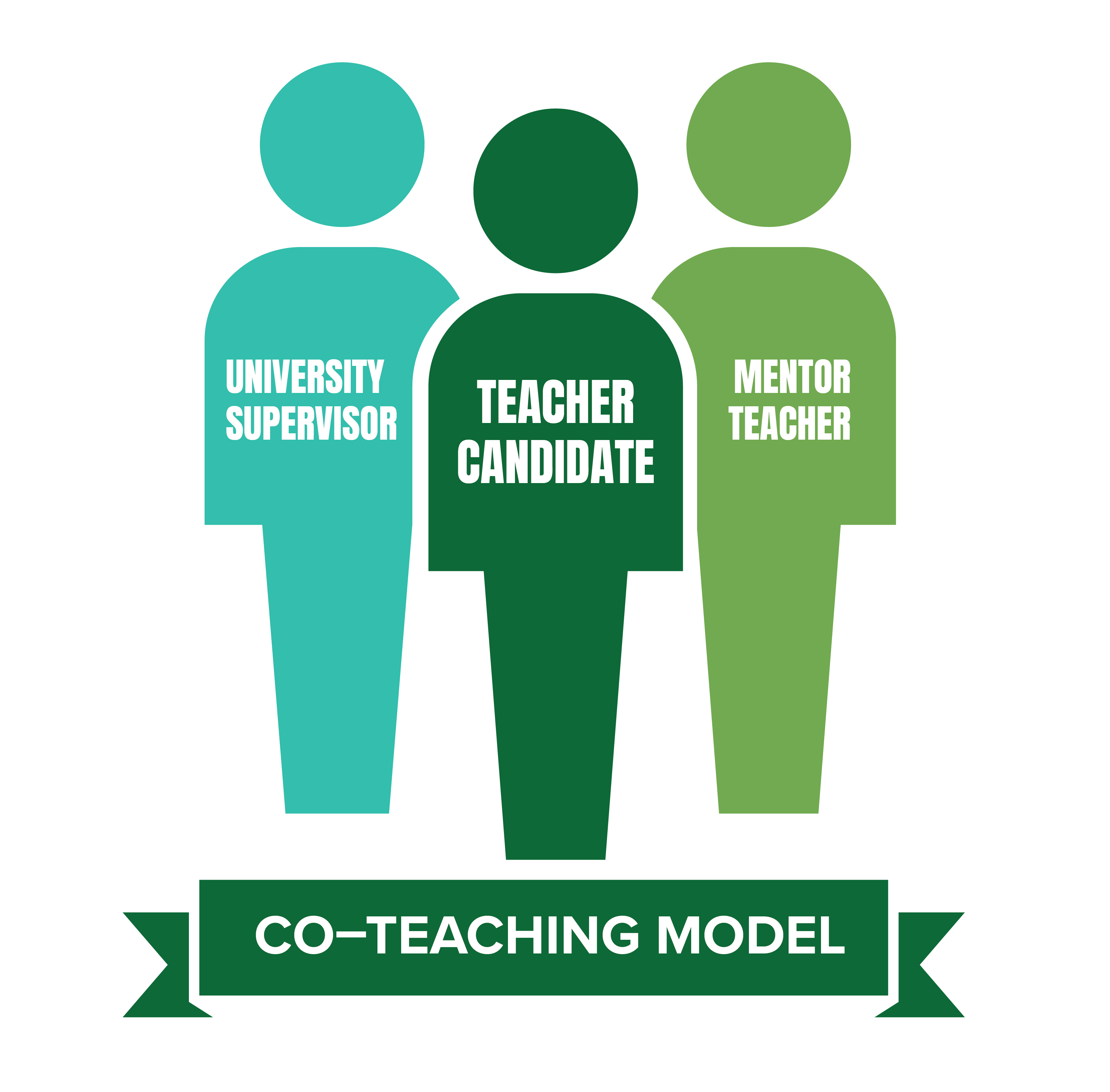 Co teaching infographic with three circles representing teacher, ed major and faculty
