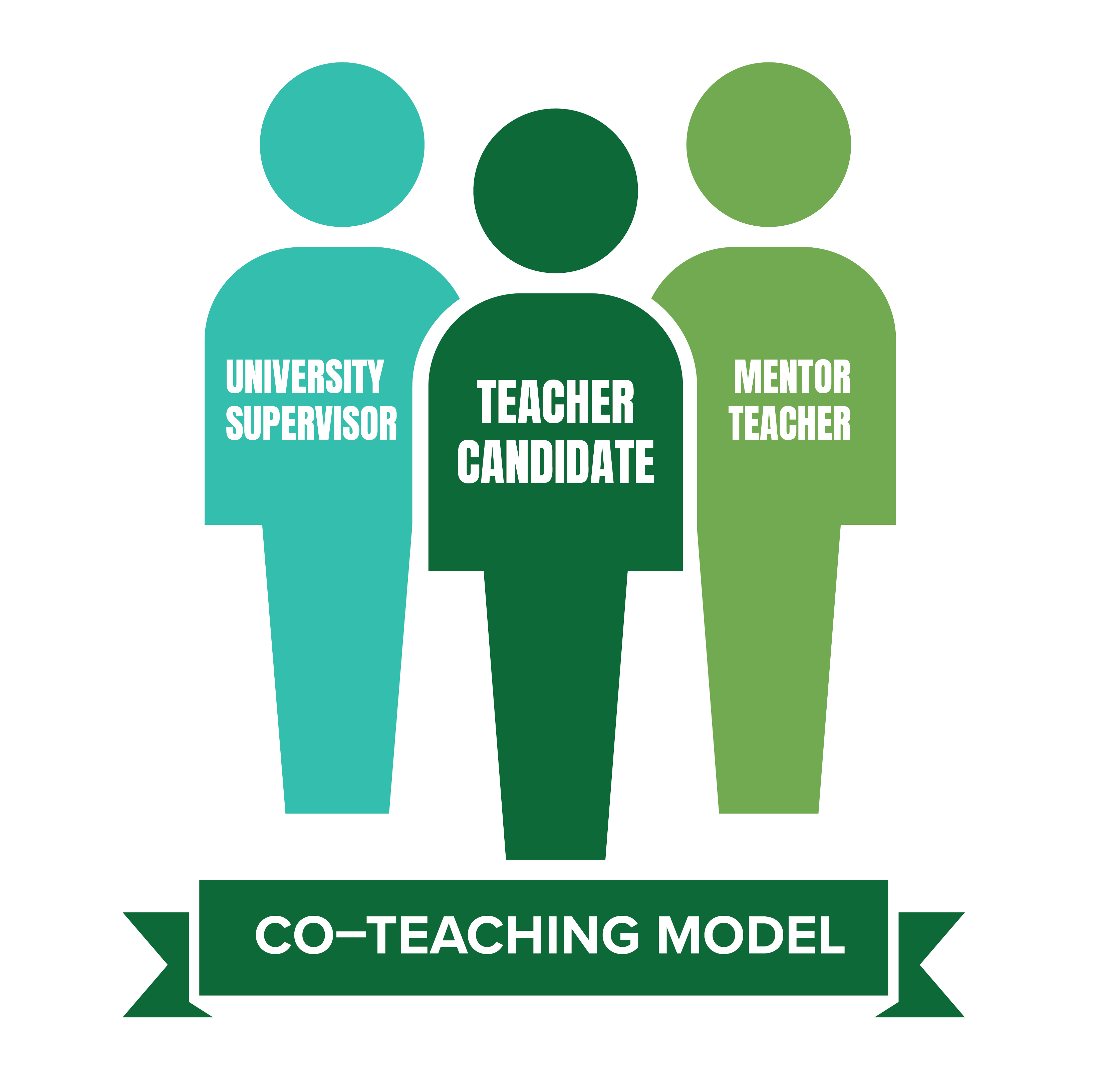 Co teaching infographic Co teaching infographic with three circles representing teacher, ed major and faculty