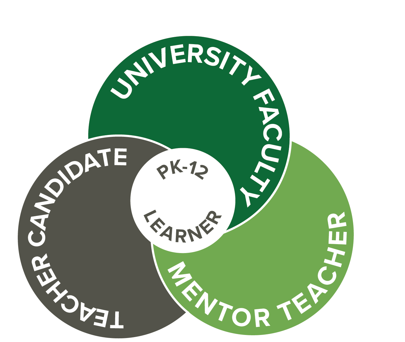 Three circles overlapping referencing the teacher candidate, faculty and mentor teacher, Co-teaching model