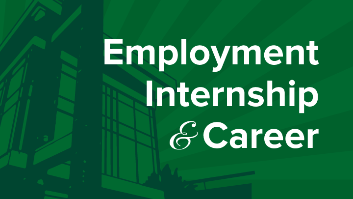Employment Internship Career