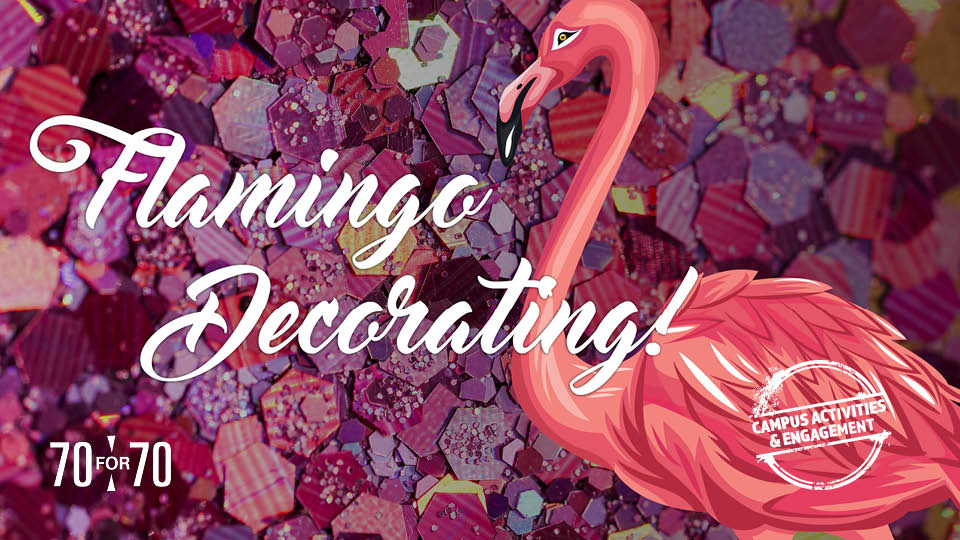 flamingo decorating