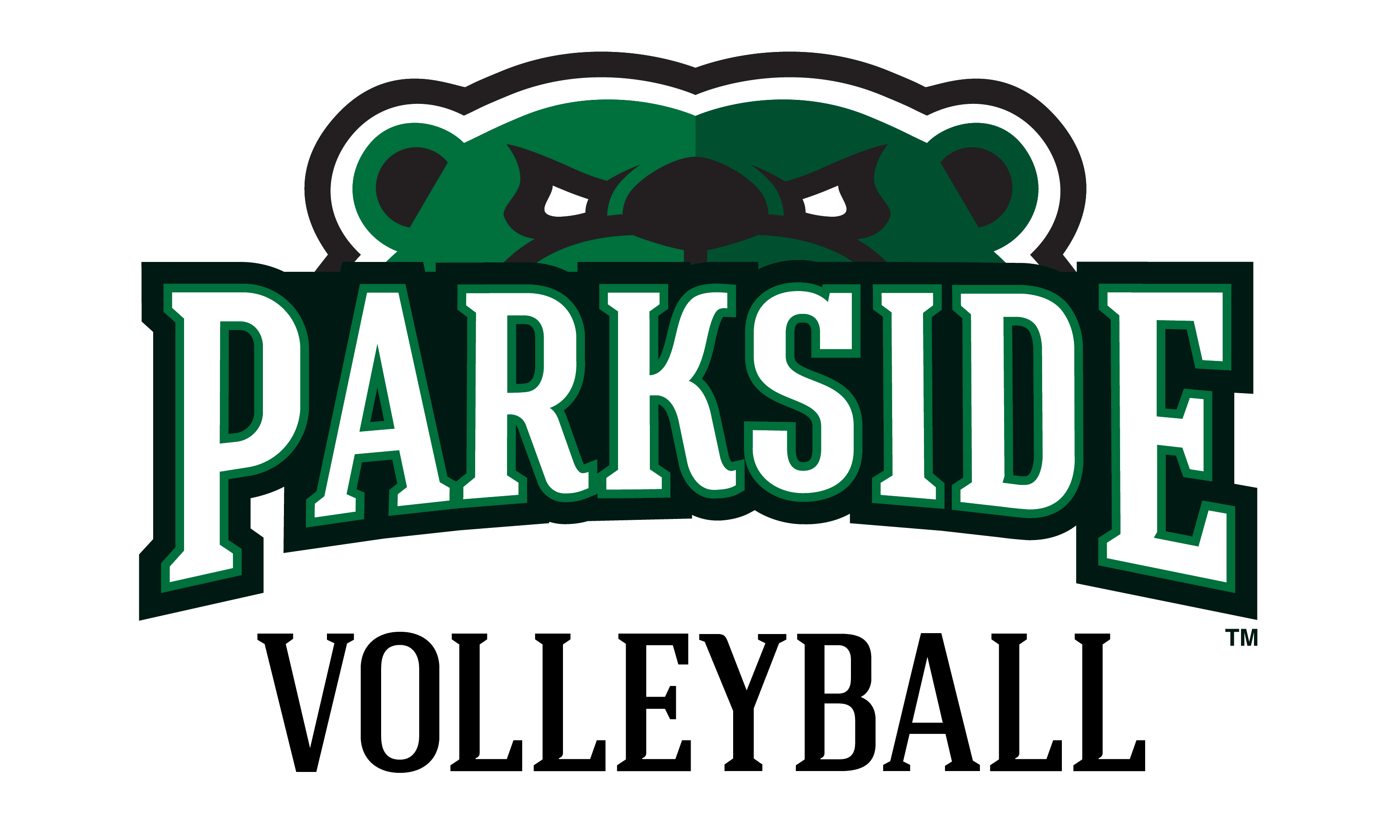 Parkside Volleyball Logo